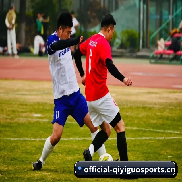 五大服务分区,信息按项目分类